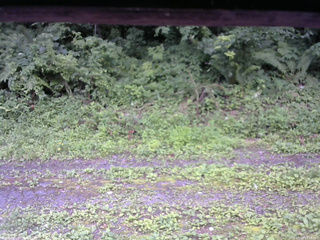 長野県菅平高原 ゆたか山荘 東側(坂下) 2026/07/18 15:15