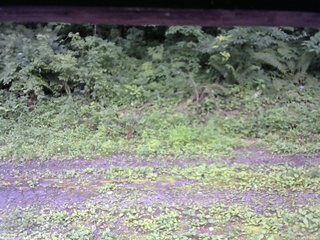 長野県菅平高原 ゆたか山荘 東側(坂下) 2026/07/18 15:30