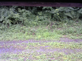 長野県菅平高原 ゆたか山荘 東側(坂下) 2026/07/18 15:45