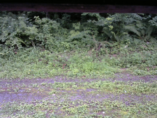 長野県菅平高原 ゆたか山荘 東側(坂下) 2026/07/18 16:15