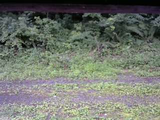 長野県菅平高原 ゆたか山荘 東側(坂下) 2026/07/18 17:00