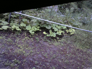 長野県菅平高原 ゆたか山荘 駐車場 2026/07/18 05:00