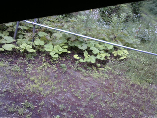長野県菅平高原 ゆたか山荘 駐車場 2026/07/18 05:30