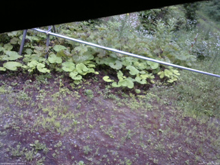 長野県菅平高原 ゆたか山荘 駐車場 2026/07/18 05:45