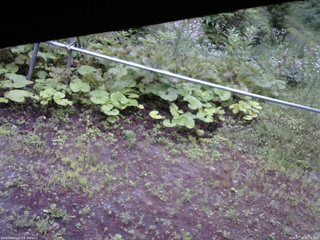 長野県菅平高原 ゆたか山荘 駐車場 2026/07/18 06:15