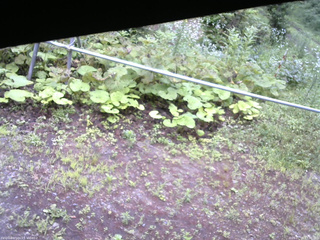 長野県菅平高原 ゆたか山荘 駐車場 2026/07/18 07:30