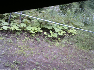長野県菅平高原 ゆたか山荘 駐車場 2026/07/18 08:15
