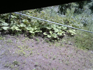 長野県菅平高原 ゆたか山荘 駐車場 2026/07/18 09:45