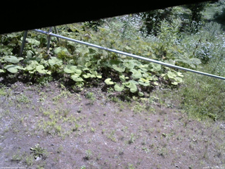 長野県菅平高原 ゆたか山荘 駐車場 2026/07/18 10:15
