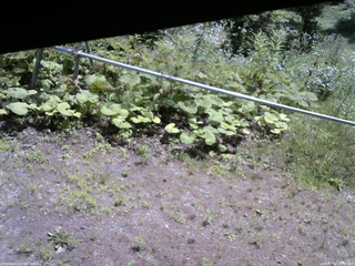 長野県菅平高原 ゆたか山荘 駐車場 2026/07/18 10:30