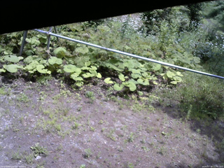 長野県菅平高原 ゆたか山荘 駐車場 2026/07/18 11:45