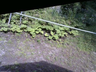 長野県菅平高原 ゆたか山荘 駐車場 2026/07/18 14:45
