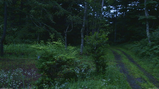 長野県菅平高原 ゆたか山荘 坂上 2026/07/18 05:00
