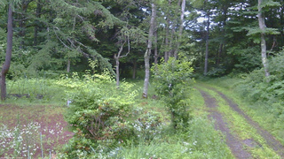 長野県菅平高原 ゆたか山荘 坂上 2026/07/18 05:15