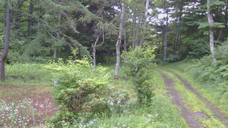 長野県菅平高原 ゆたか山荘 坂上 2026/07/18 05:30