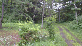 長野県菅平高原 ゆたか山荘 坂上 2026/07/18 05:45