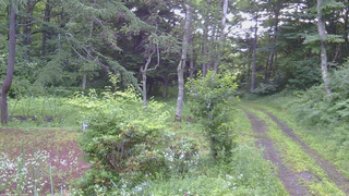 長野県菅平高原 ゆたか山荘 坂上 2026/07/18 06:15