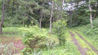 長野県菅平高原 ゆたか山荘 坂上 2026/07/18 06:30