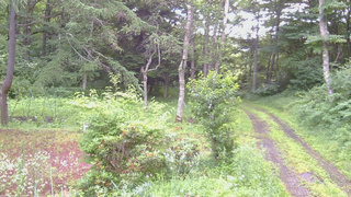 長野県菅平高原 ゆたか山荘 坂上 2026/07/18 06:45