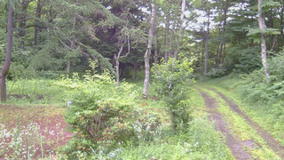 長野県菅平高原 ゆたか山荘 坂上 2026/07/18 07:00