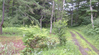 長野県菅平高原 ゆたか山荘 坂上 2026/07/18 07:15