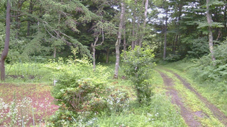 長野県菅平高原 ゆたか山荘 坂上 2026/07/18 07:30