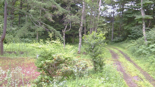長野県菅平高原 ゆたか山荘 坂上 2026/07/18 07:45