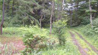 長野県菅平高原 ゆたか山荘 坂上 2026/07/18 08:00