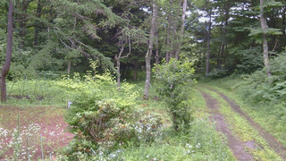 長野県菅平高原 ゆたか山荘 坂上 2026/07/18 08:15