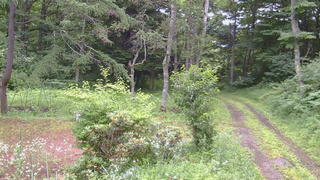 長野県菅平高原 ゆたか山荘 坂上 2026/07/18 08:30