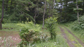 長野県菅平高原 ゆたか山荘 坂上 2026/07/18 09:15