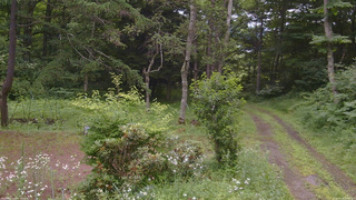 長野県菅平高原 ゆたか山荘 坂上 2026/07/18 09:30