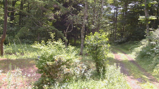 長野県菅平高原 ゆたか山荘 坂上 2026/07/18 09:45