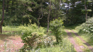 長野県菅平高原 ゆたか山荘 坂上 2026/07/18 11:00