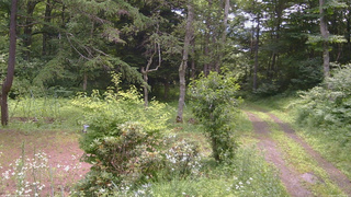 長野県菅平高原 ゆたか山荘 坂上 2026/07/18 11:15