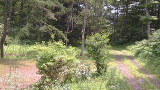 長野県菅平高原 ゆたか山荘 坂上 2026/07/18 11:30