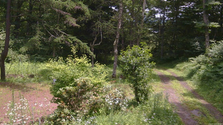 長野県菅平高原 ゆたか山荘 坂上 2026/07/18 11:45