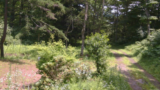 長野県菅平高原 ゆたか山荘 坂上 2026/07/18 12:00