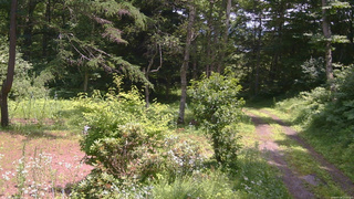 長野県菅平高原 ゆたか山荘 坂上 2026/07/18 12:15