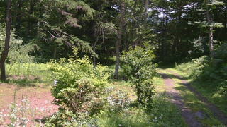長野県菅平高原 ゆたか山荘 坂上 2026/07/18 12:30