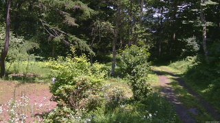 長野県菅平高原 ゆたか山荘 坂上 2026/07/18 12:45