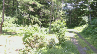 長野県菅平高原 ゆたか山荘 坂上 2026/07/18 13:00