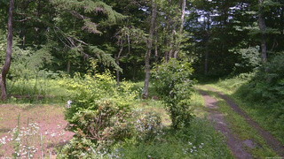 長野県菅平高原 ゆたか山荘 坂上 2026/07/18 13:15