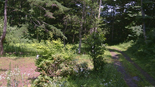 長野県菅平高原 ゆたか山荘 坂上 2026/07/18 13:30
