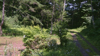 長野県菅平高原 ゆたか山荘 坂上 2026/07/18 13:45
