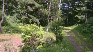 長野県菅平高原 ゆたか山荘 坂上 2026/07/18 14:00