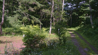 長野県菅平高原 ゆたか山荘 坂上 2026/07/18 14:15