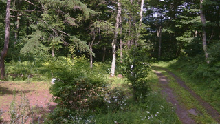 長野県菅平高原 ゆたか山荘 坂上 2026/07/18 14:30