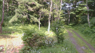 長野県菅平高原 ゆたか山荘 坂上 2026/07/18 15:00