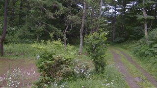 長野県菅平高原 ゆたか山荘 坂上 2026/07/18 15:15
